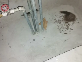 东莞卫生间测漏水价格明细