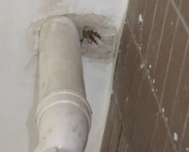 东莞漏水检测哪家好